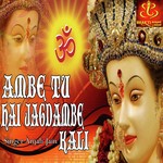 Anjali Jain Songs MP3 Download
